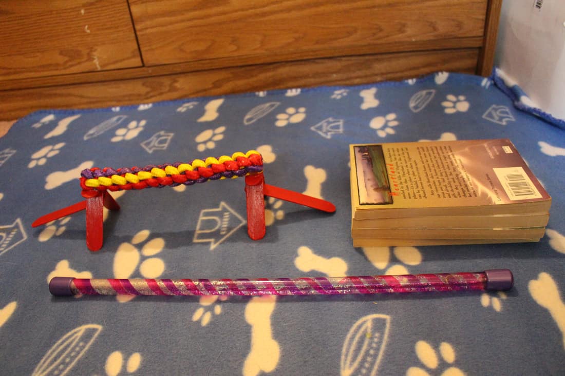 How To Teach Your Guinea Pig To Jump Guinea Pig Tricks